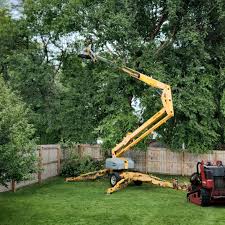 Best Tree and Shrub Care  in Two Rivers, WI